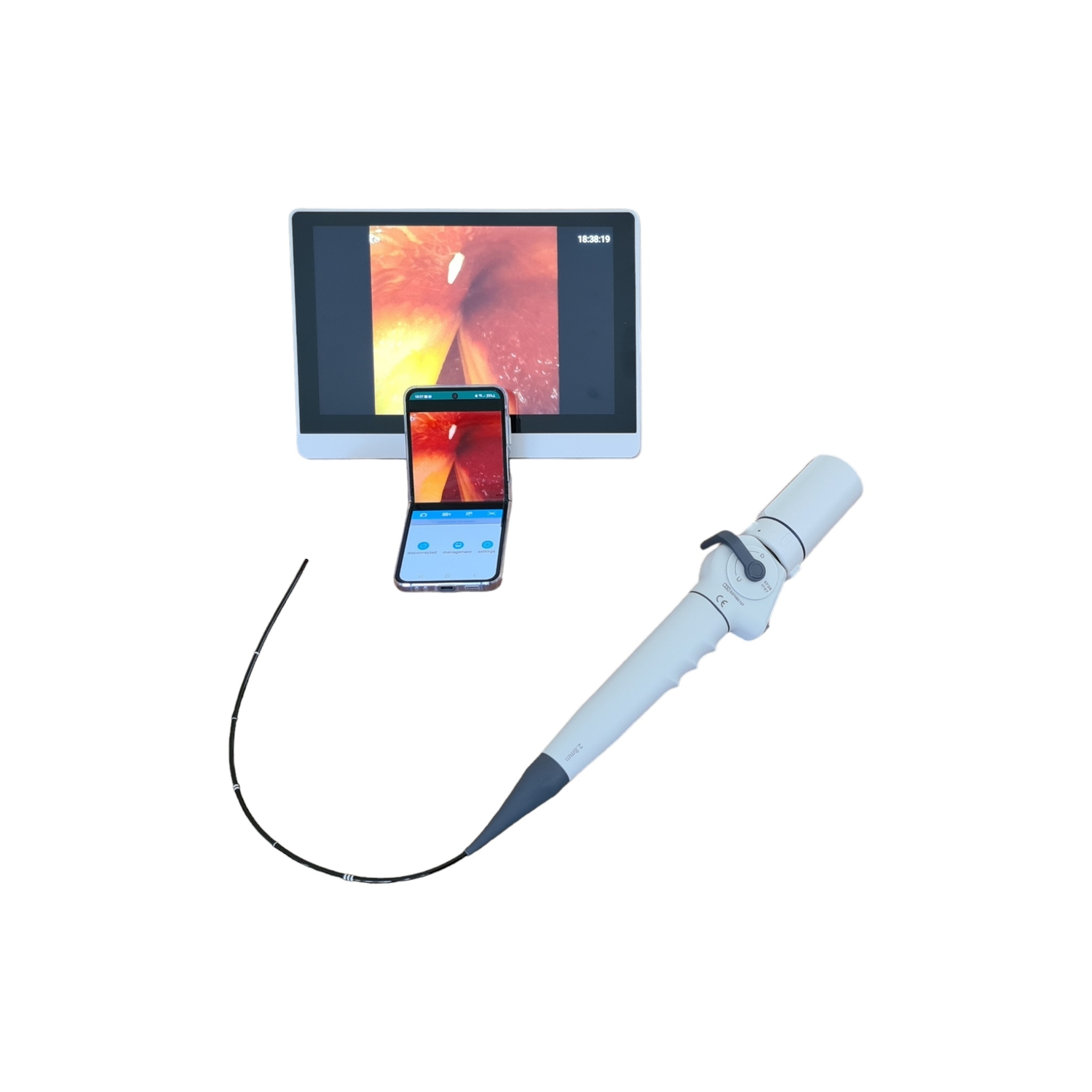 Endoscopes, flexible