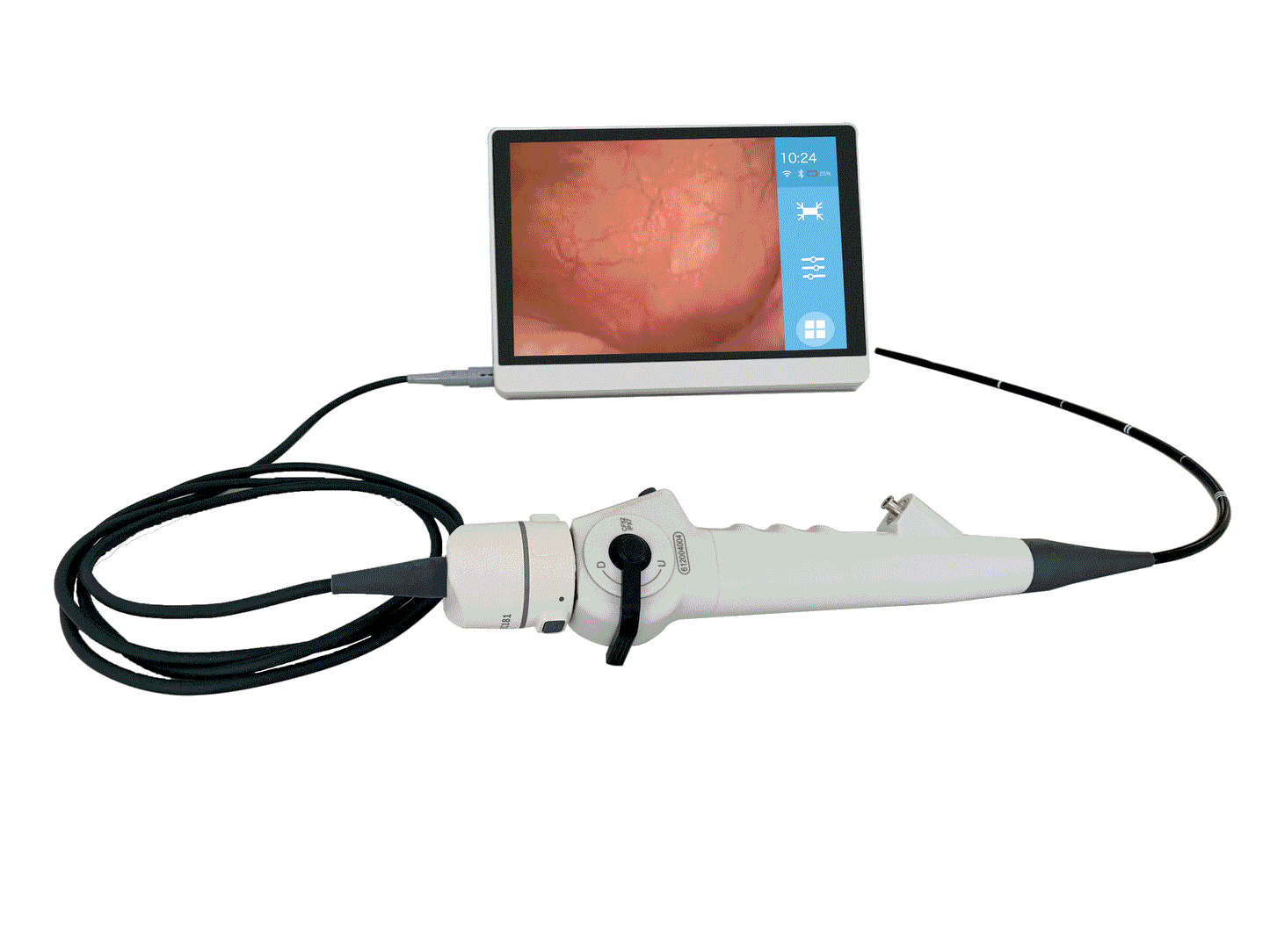 Renoscopio uretero, flexible, 3 mm